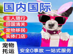 成吉思汗航空货运国际宠物托运 【国